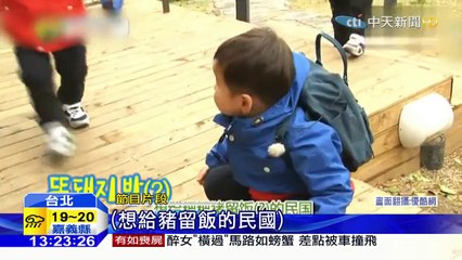 20160103中天新聞　以為三隻小豬被抓了　三胞胎不敢吃豬肉