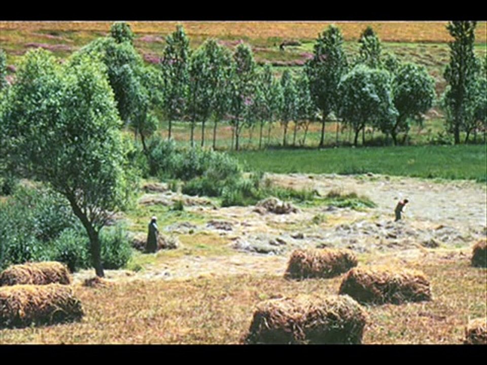 GÜNGÖR   YILDIZ....Bebeğin Beşiği camdan