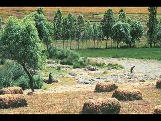 GÜNGÖR   YILDIZ....Bebeğin Beşiği camdan