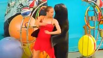 Sea Lion Dance With Lady - Awesome