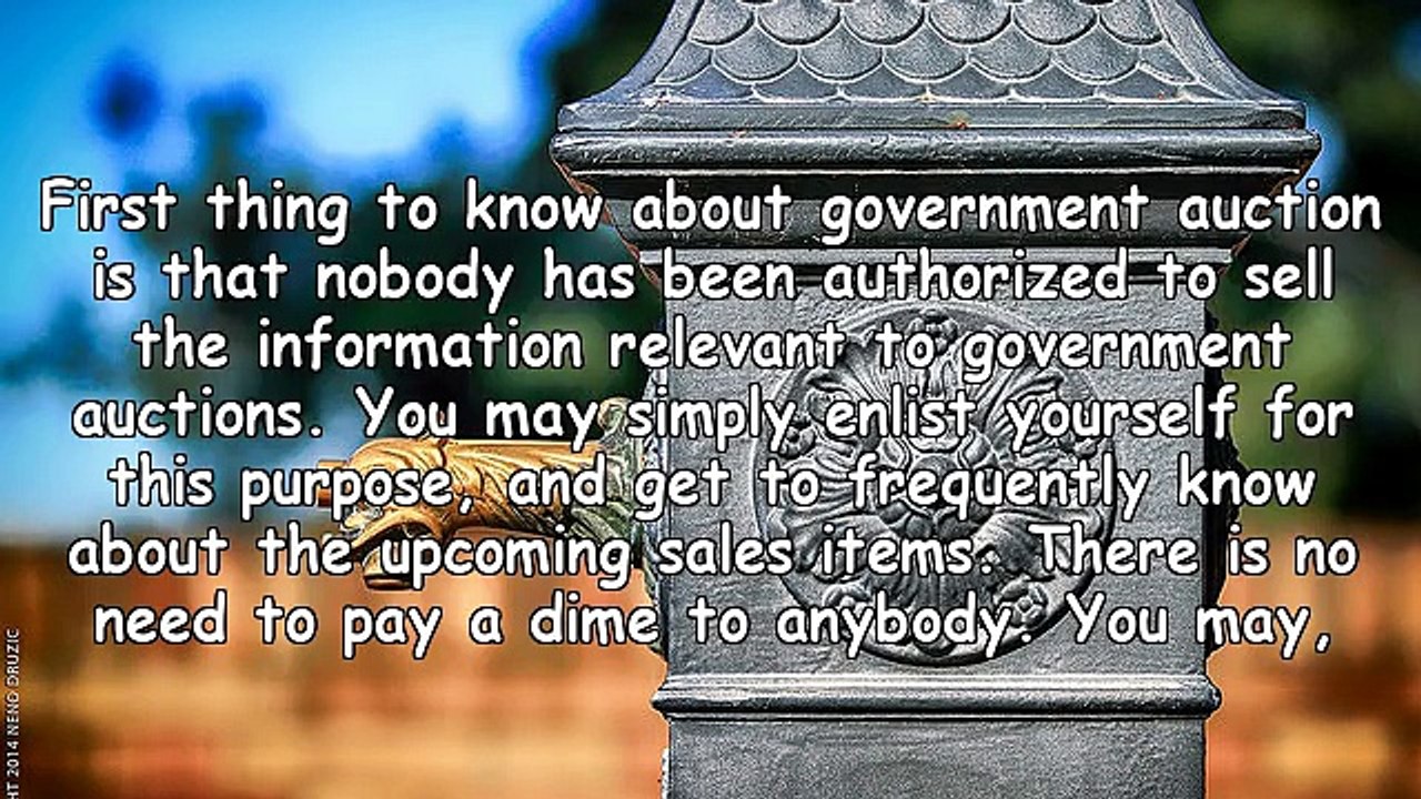 Finding government auctions