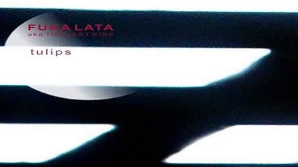 Fuka Lata - Tulips