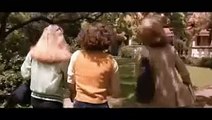 Halloween (1978) Full Movie - [Streaming]
