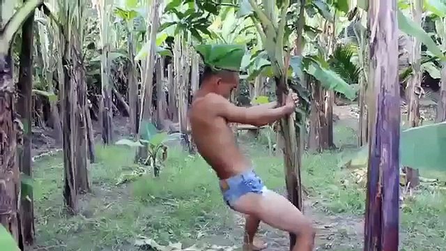 Танец бананового человека