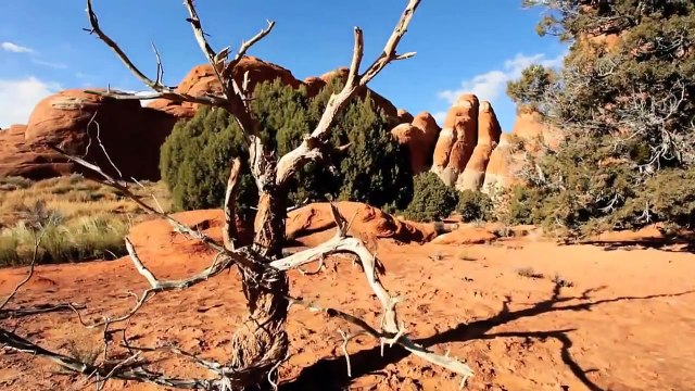 U.S. WILDFIRES - Forests Under Fire / Full Documentary HD