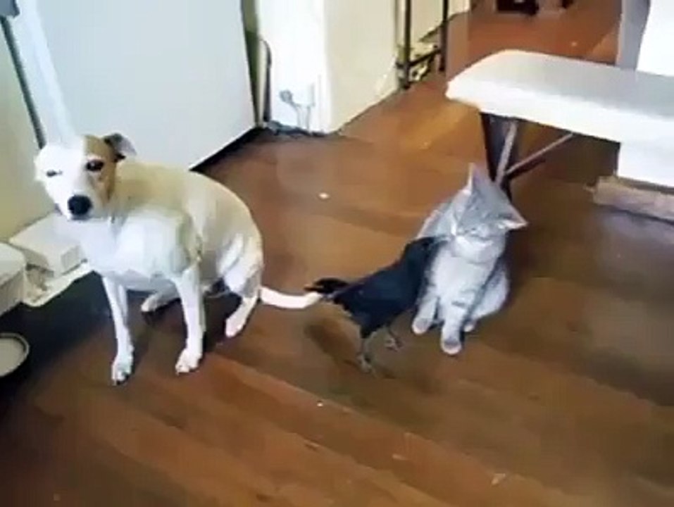 Too cute not to Share