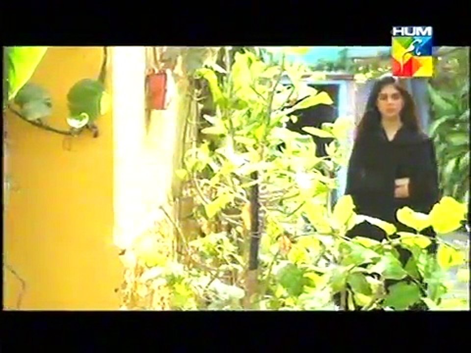 Akeli Episode 71 Full HUM TV Drama 30 Oct 2015
