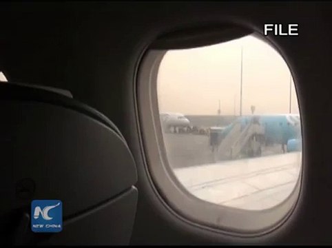 Russian passenger plane crashes in Egypt