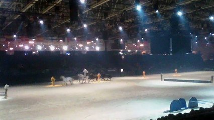 Roman ridding amazing