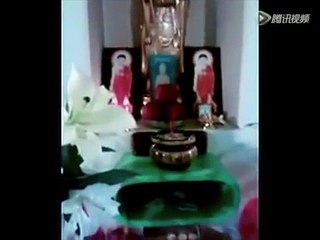 CHUỘT BIẾT TRƯỚC GIỜ VÃNG SANH