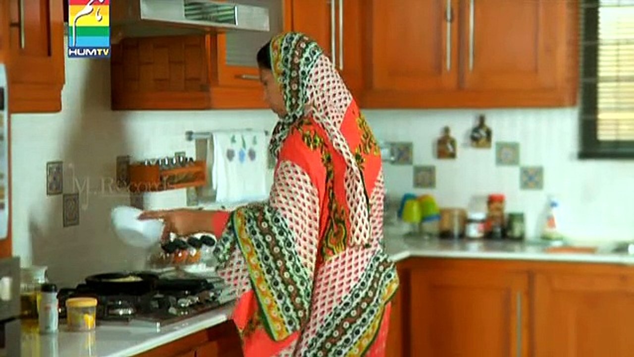 Humsafar  - Episode 2
