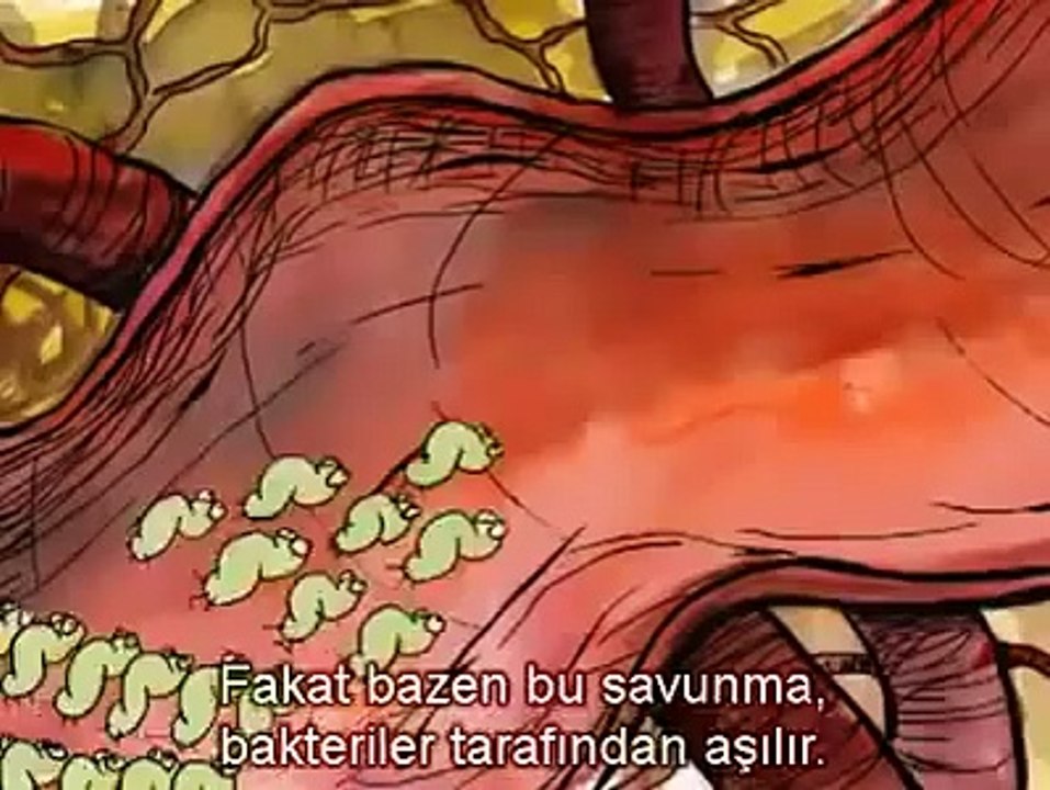 Mutasyonlar ve Doğal seçilim Bakteri Direnci