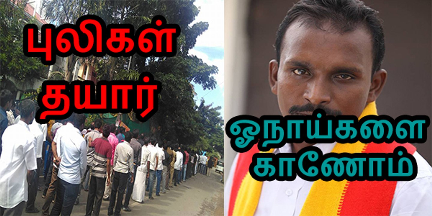 புலிகள் தயார் ஓநாய்களை காணோம் 1 நவம்பர் 2015