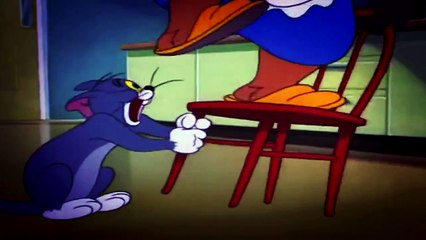 [short film comedy] Nit Witty Kitty cartoon for kids