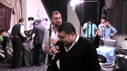 Liviu Pustiu - Are tata doi baieti (Live)