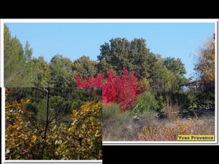 84 - Grambois, le tour du ravin du Prat du Bout