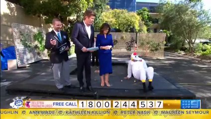 Today Show Funny Bits Part 68. You've Goat to be Kidding Me!