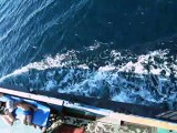 Морская прогулка с купанием в открытом море с борта корабля 