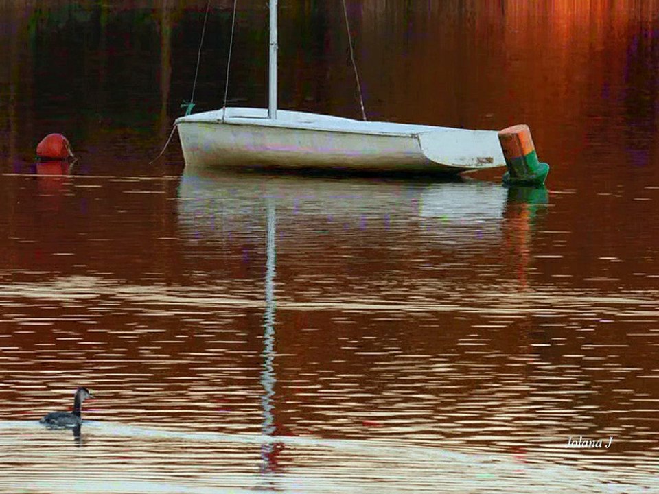 la chausselière soir 31 octobre