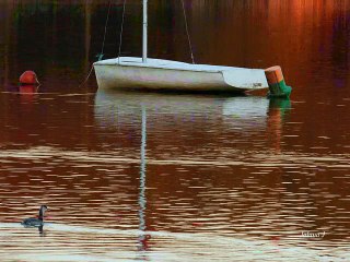 la chausselière soir 31 octobre