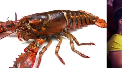 Hepsi Birbirinden İlginç 16 Bilgi