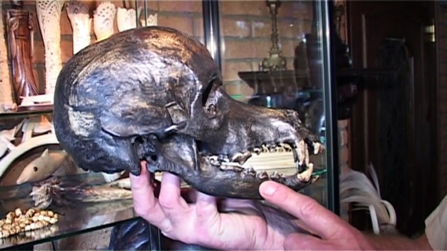 Nou weet jij wat je buurman doet ? ! Horror verhaal!