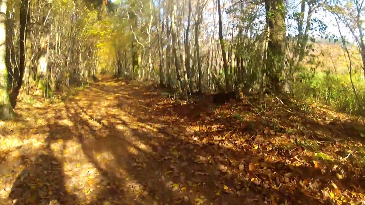 Footbike en Clunisois 2 - parcours mixte