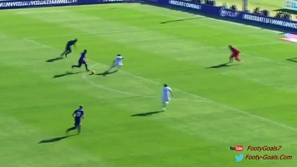 Mario Suarez Goal - Fiorentina vs Frosinone 4-0 (Serie A 2015)
