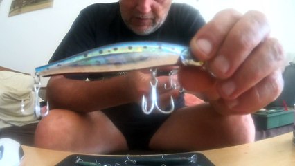 Poissons nageurs pour loup, bar, bonite