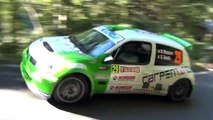 ERC - Rallye Sanremo 2013