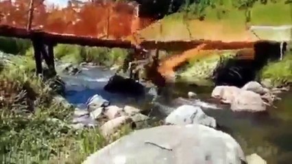 Ninja Saldırısına Maruz Kalan İnsanlar