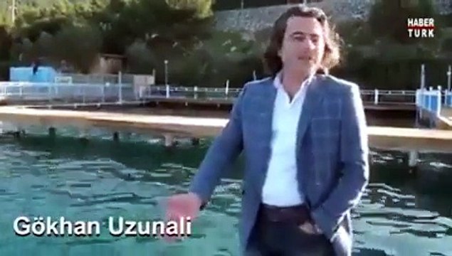 Horon Oynayan Karadenizli Yunus Balığı