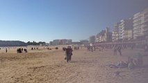 Un premier novembre sur la grande plage et sur le remblai