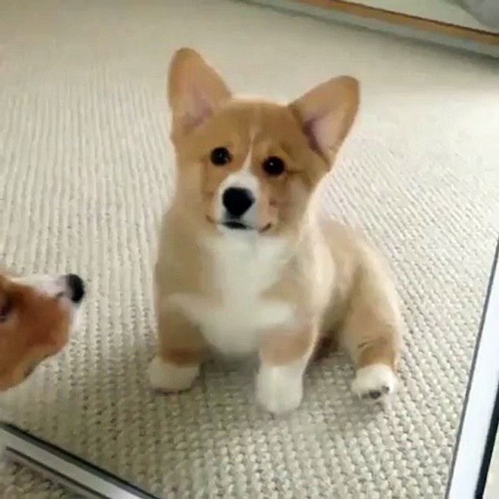 Huh... I don't understand... I don't understand!