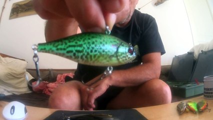 Poissons nageurs brochet