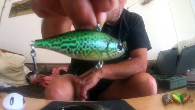 Poissons nageurs brochet