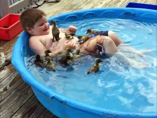 Lucky Kid Swims With A Dozen Ducklings