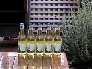 Man Finds A Crab In His House, The End Is Hilarious! - Komik videolar - Funny videos