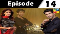 Kaise Tumse Kahoon Episode 14 Full on Hum TV