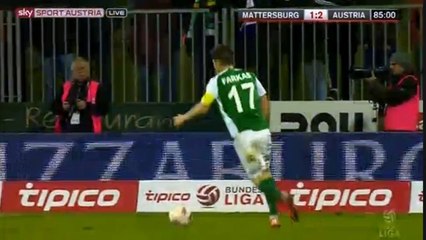 Lukas Rotpuller Goal 0-2 Mattersburg vs Austria Wien 01.11.2015