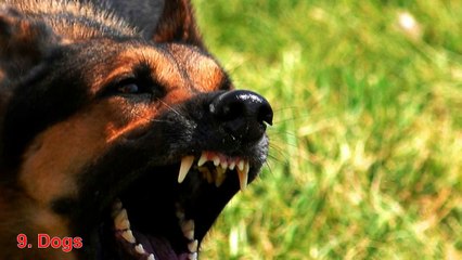 10 Scariest and Most Frightening Things for Human