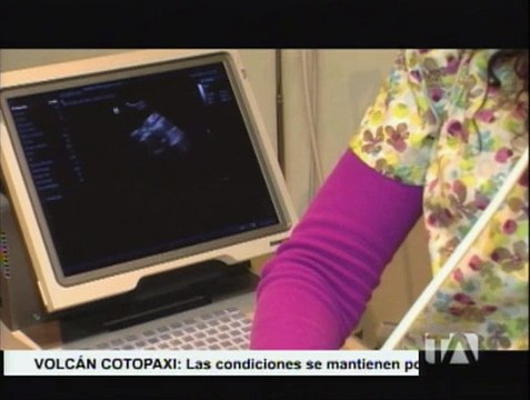 Cómo saber si tu gata está preñada