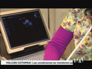 Cómo saber si tu gata está preñada