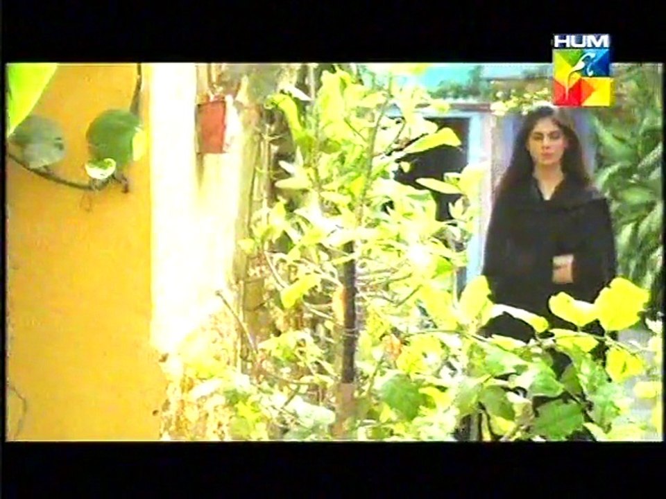 Akeli Episode 71 Full