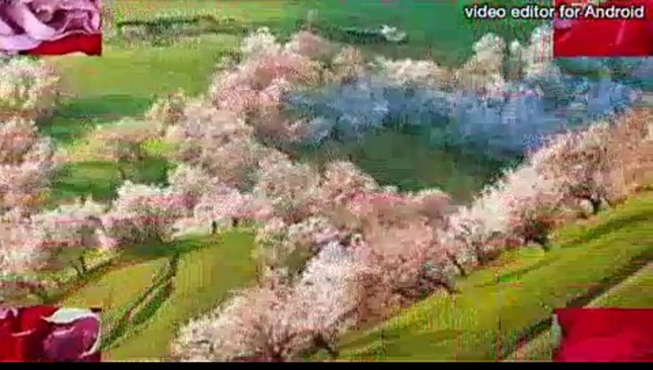 دہ وزیرستان پشتو سندرہ / 2015