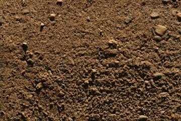 Funny Girl fell in wet mud dirt