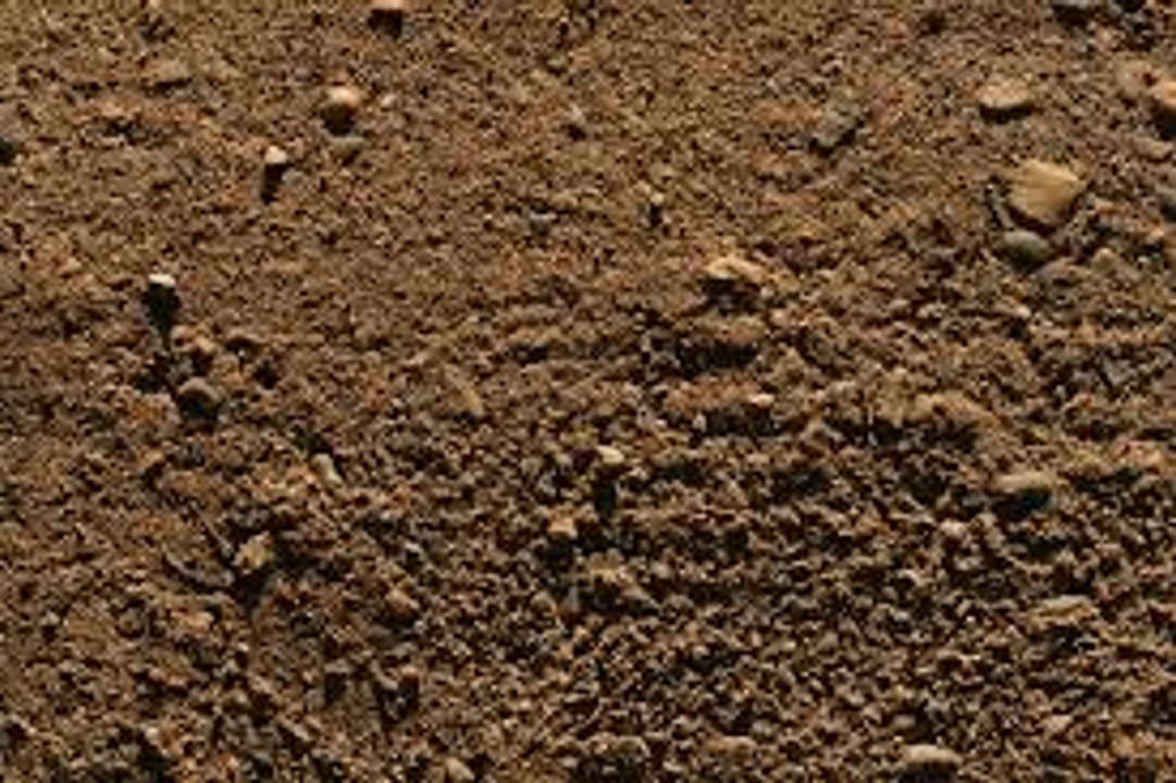 Funny Girl fell in wet mud dirt