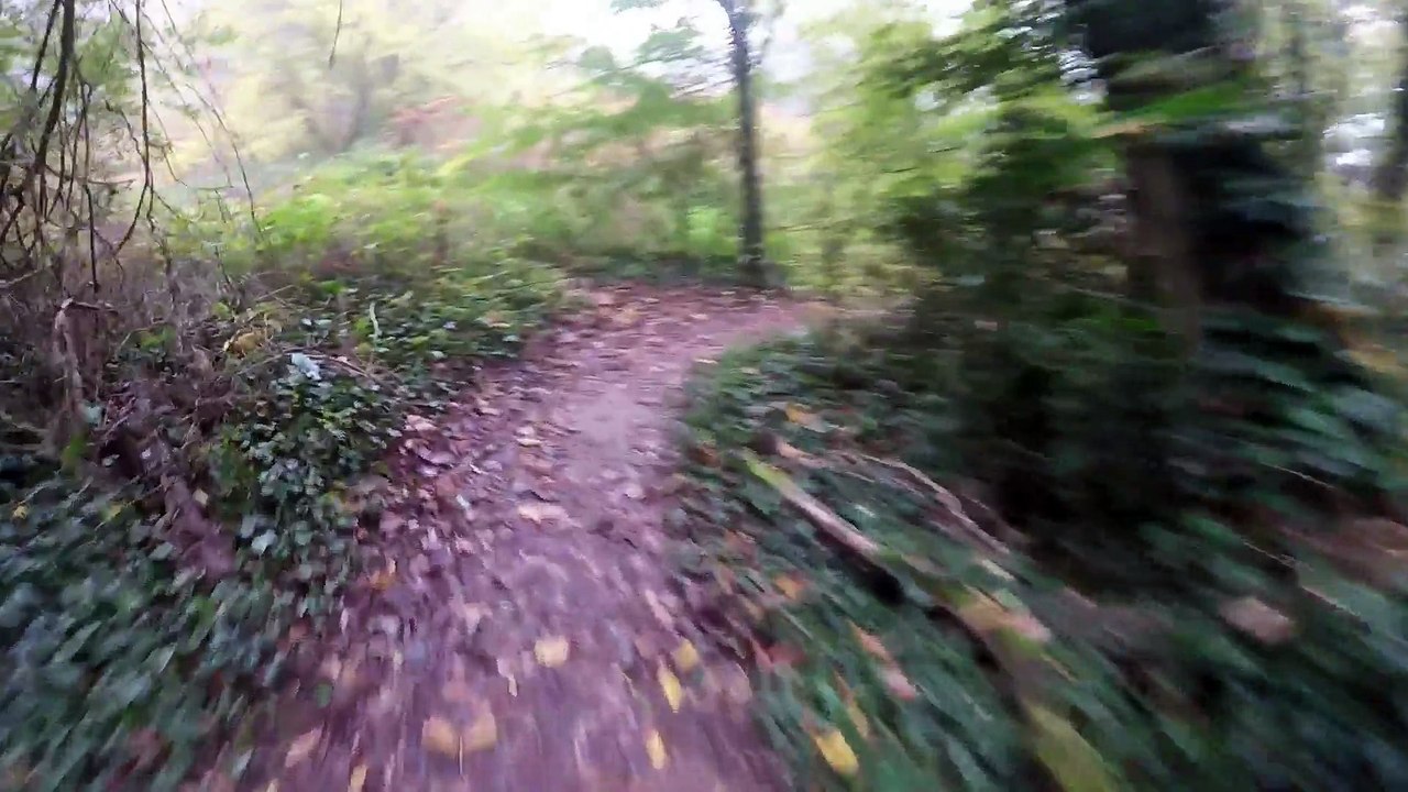 Balade à VTT au bord du Rhône - Automne 2015