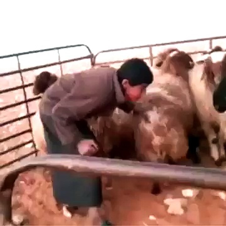 Funny Bakra Tudd !!!