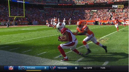 Instant Replay: Did Michael Floyd catch it?